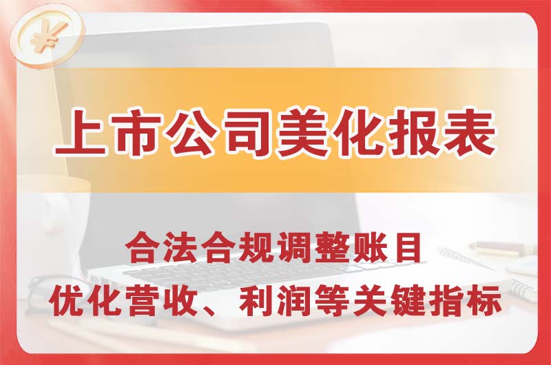 神湾上市公司美化报表